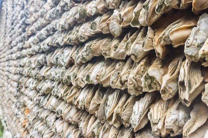 广州最适合一日游的免费景点，收好，够你任性玩一整年!