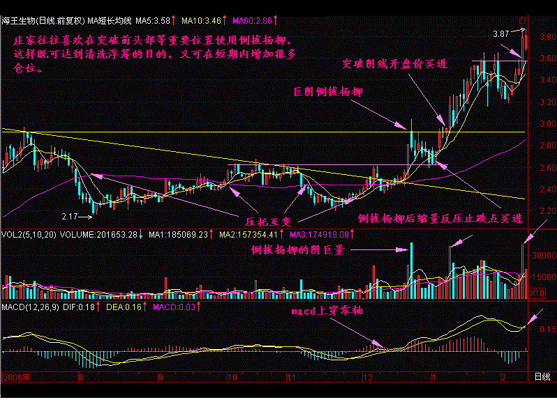 炒股只有到了这个境界才能赚大钱，每天认真读三遍！必成高手！