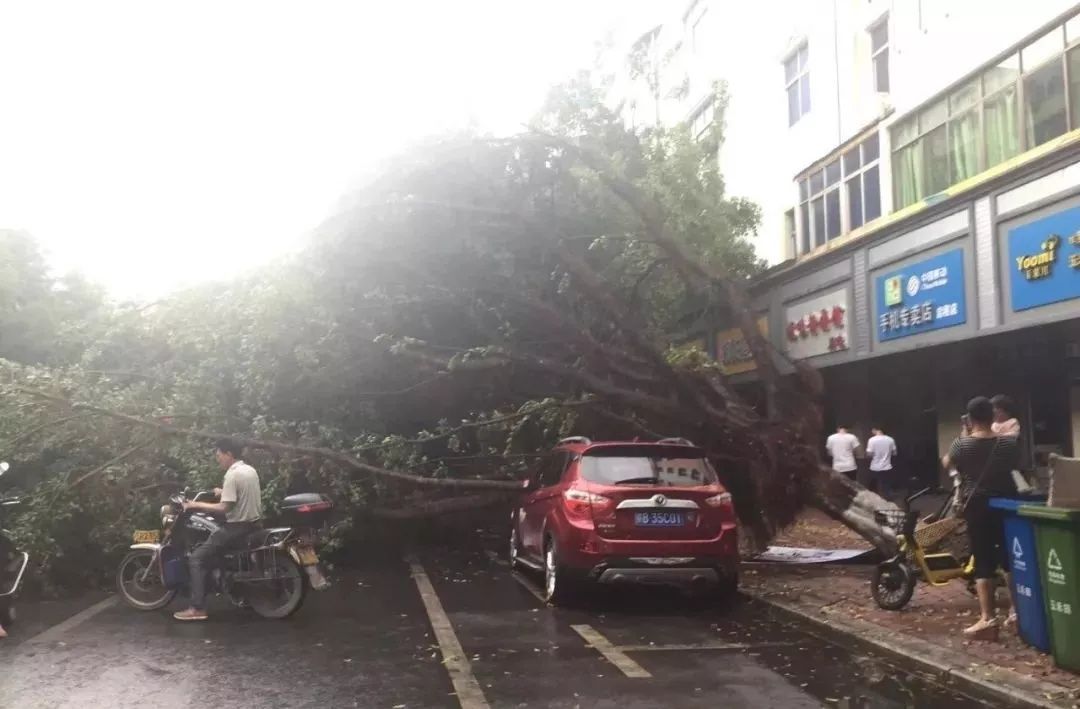 江西地区1人遭雷击！狂风暴雨雷电袭赣！多地受灾