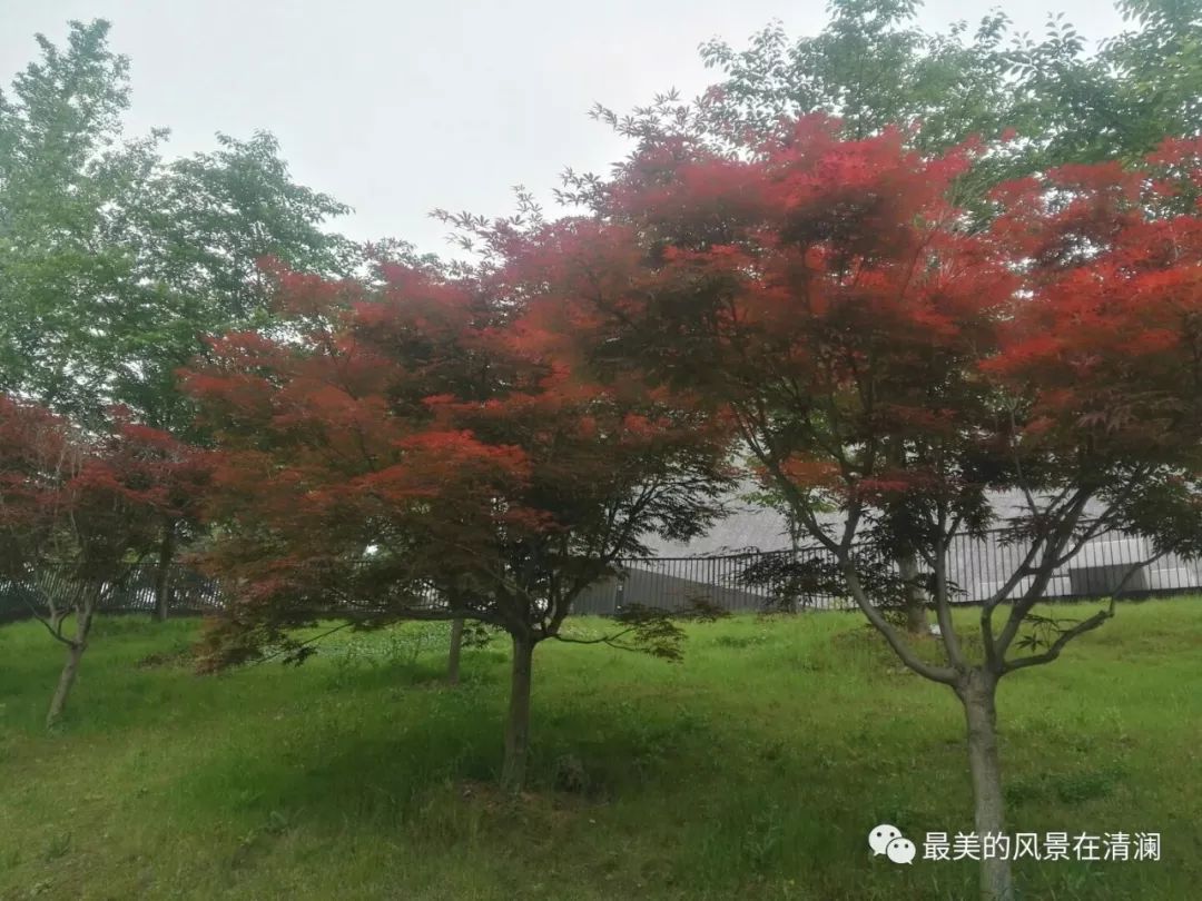 第715季 孔子学院公派教师出国考试攻略