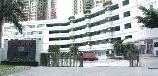 厉害了!深圳这10所学校被国家点名了,快看有没