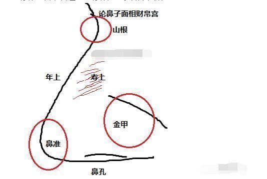 《麻衣相法》论财帛宫,这样鼻相的人,大富大贵