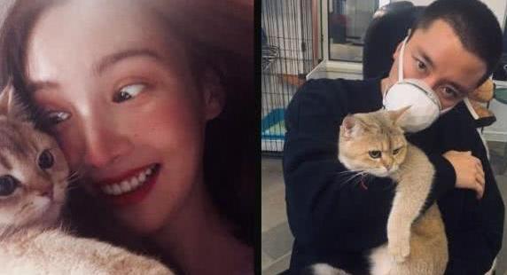 贾乃亮金晨两年前就已生情?曾晒两人聊天记录