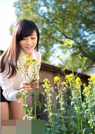 美出天际线的油菜花海不止是婺源才有！内附油菜花田最强拍照指南