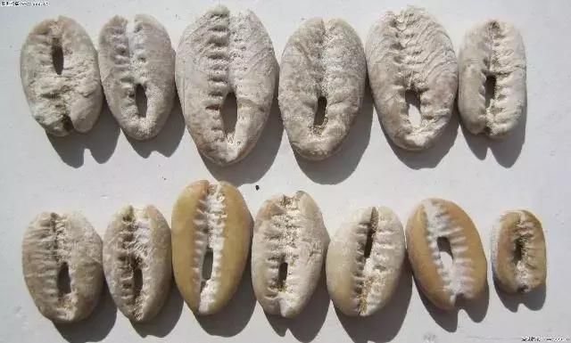 一枚钱币拍出3680000元！这26种中国钱币之最，快翻翻你家有没有