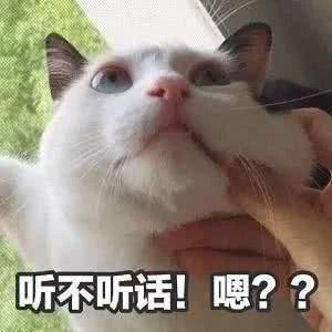 请跟我处表情,谢谢!表情妹子帮忙对象套路包必备拜托的图片