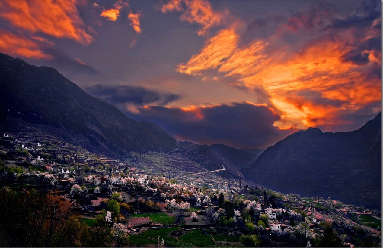 中国最美乡村丹巴 迎来梨花的最佳观赏期