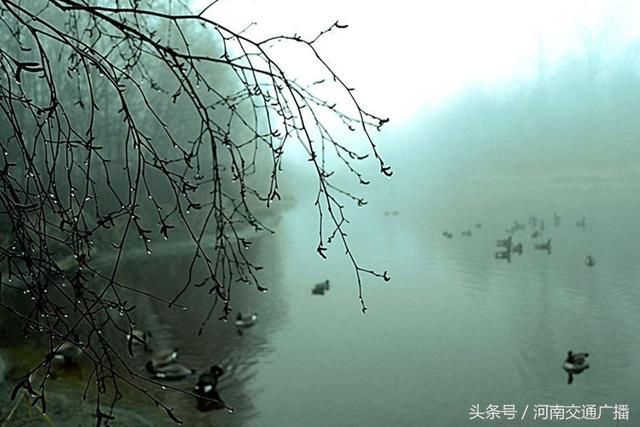 降温+雨雨雨！周五河南将迎冷空气 南部地区雨 更扎心的是......