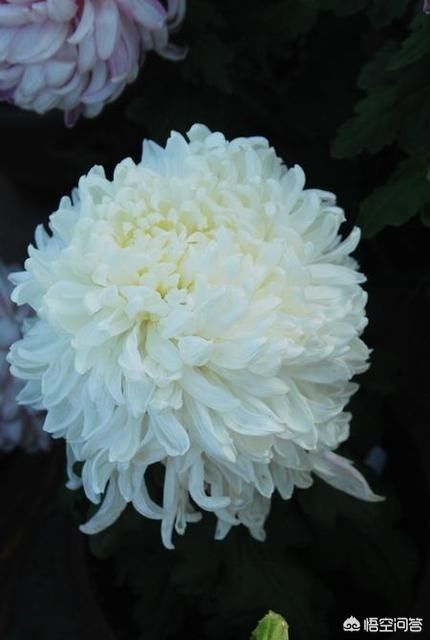 针对四川省凉山木里县的火灾而牺牲的30名消