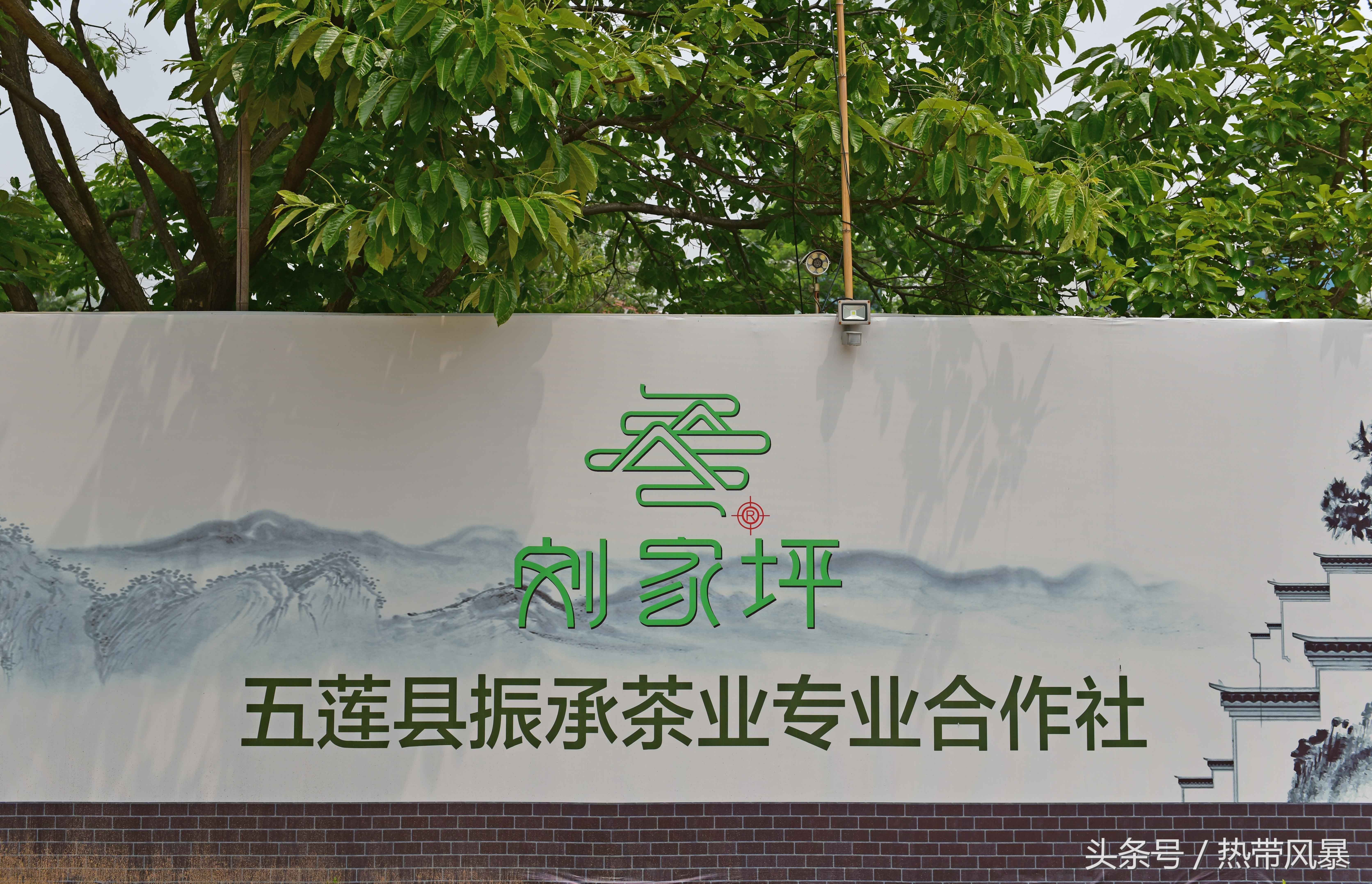 五莲县有多少人口_五莲县地图