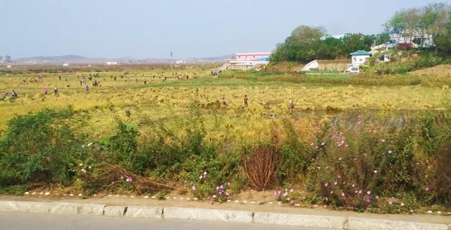 朝鲜百姓为什么很少出国旅游,朝鲜导游说出了原因!