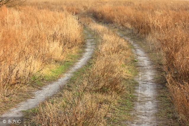 农村这4大问题如果解决了，你还会想进城吗？