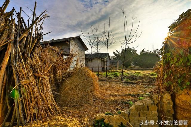 农村老人自杀现象严重，值得我们深思