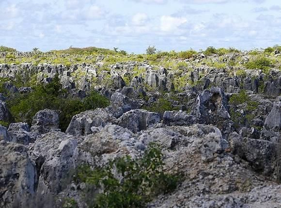 买买而破产的国家,曾靠卖鸟粪财富比肩迪拜!