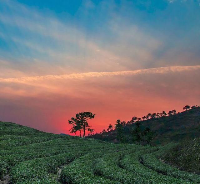 浙江隐藏的7条如诗如画的绝美“天路”你去过几条？