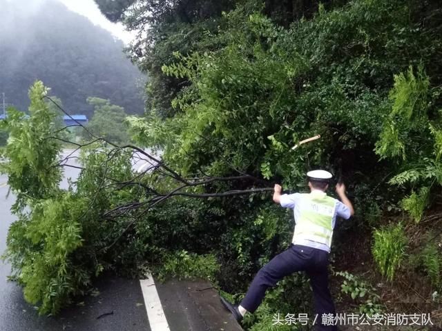 暴雨袭击！赣州多地遭遇洪水，上百人转移！市长紧急调度防汛工作