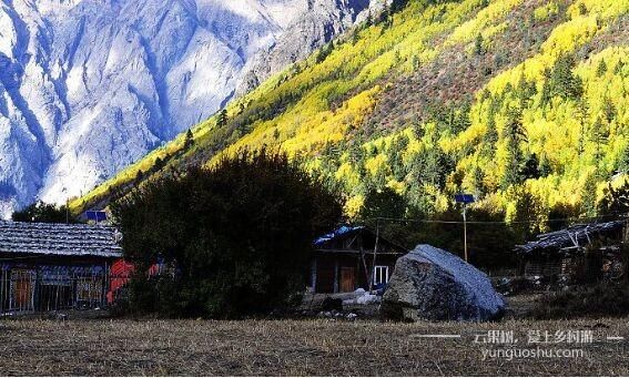 西藏波密县玉普乡的米堆村，绝美世外桃源