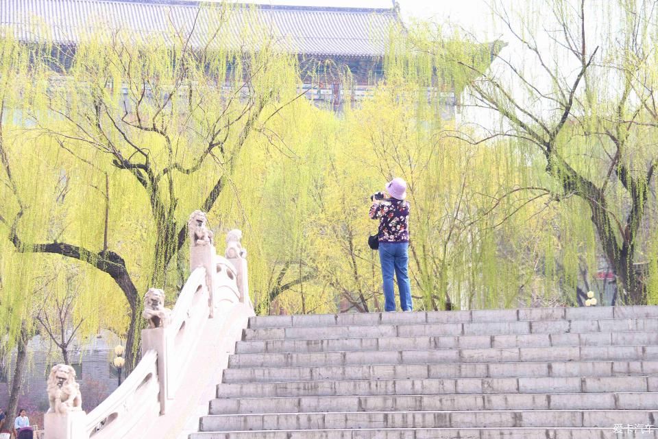 《春之彩》文瀛公园遛个弯!