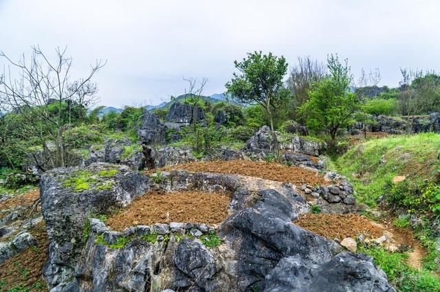 广西5个偏远山区县，去一趟南宁，比出国还难