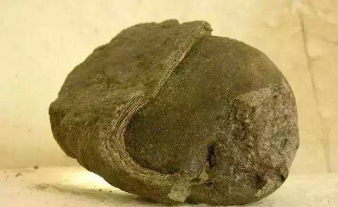 居民在一堆腐尸中找出价值不菲的宝物, 围观者