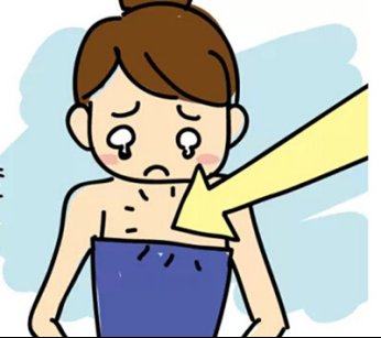 胸小吃什么变大 食疗丰胸让乳房自然变大