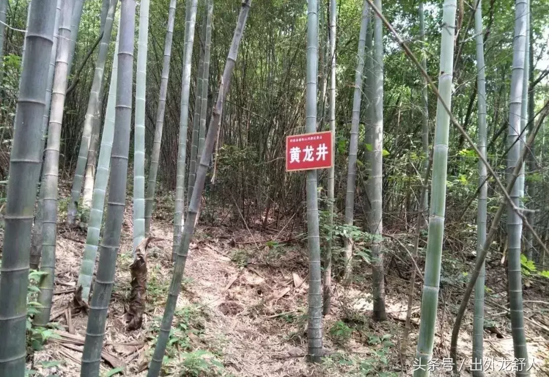 安徽舒城:影像志|四大名山之首春秋山 秦代儒生护典籍得名?