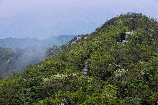 广西最高的五座山峰，真宝顶第二，元宝山第三，第一名你想不到!