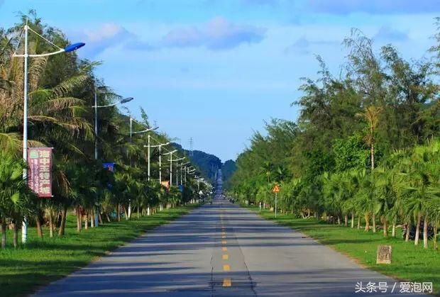 江门市这几条最美乡村公路，到江门自驾旅游必去