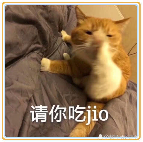 超火表情老子我不认表情包:沙雕连辣条都戒了,还有图片
