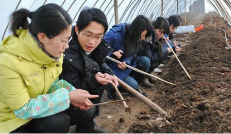 大学生领全村办养殖场，为农户带来500万收入