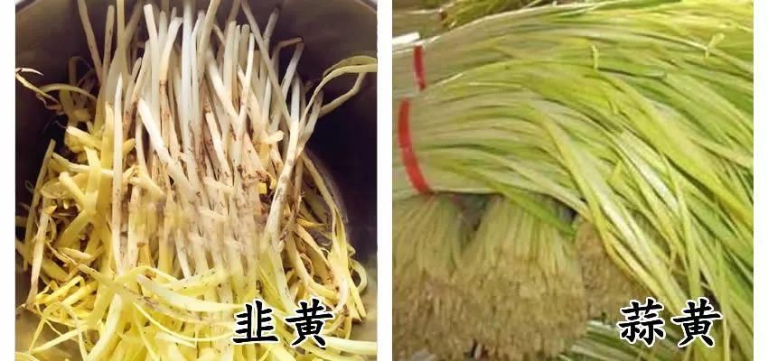 车厘子VS樱桃，奇异果 vs 猕猴桃，这些食物到底哪不同?