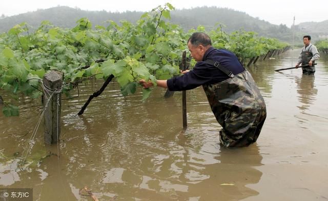 农民注意了，北方这几天将会暴雨降临，干旱的庄稼有救了！