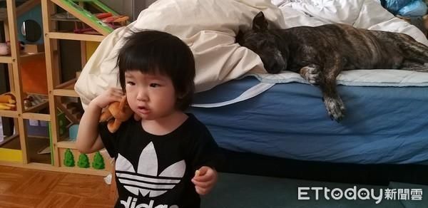 妈转头惊见枕边人「变成狗」吓坏！　大叔酣睡貌完美卡位