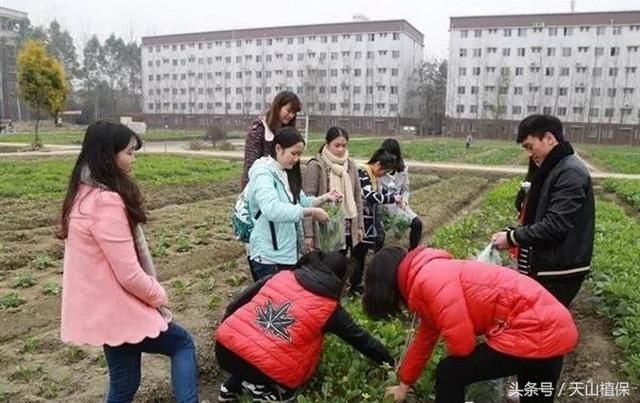 有多少人，趁着春节，逃离城市，回家种地？