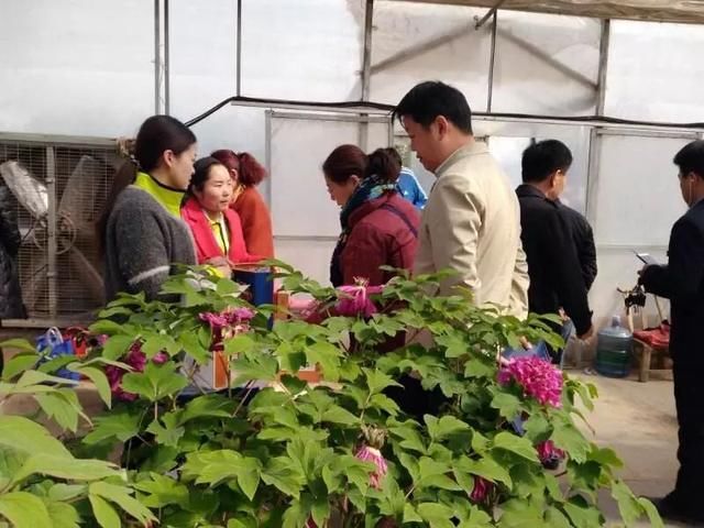 牡丹文化节期间,你被他们暖到了吗?