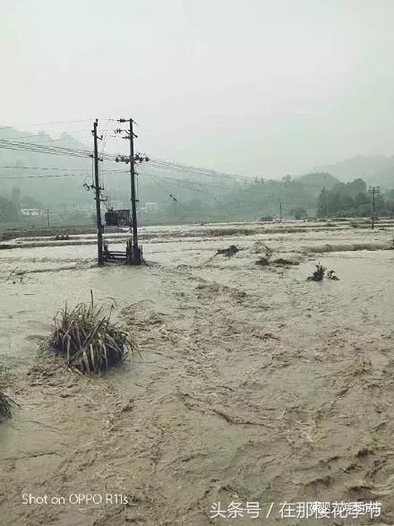 江西多地突发洪水!供电通讯中断!多人被困!接下来依旧是雨雨雨