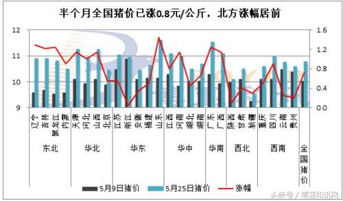 全国猪价将破11奔12，能否抓住行情？当前市场的几个变化要注意