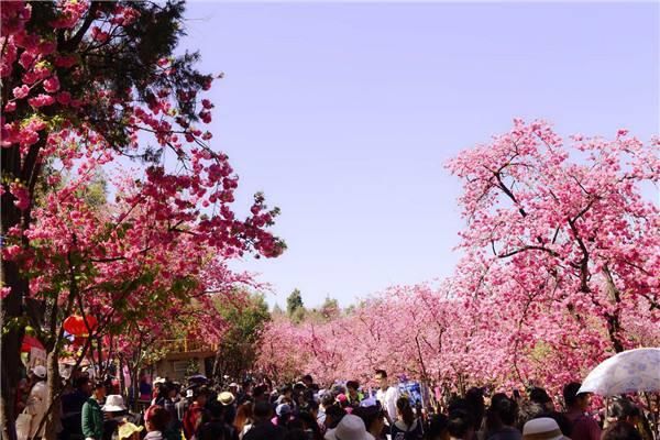 中国最凉爽的城市，夏天最高28℃，一年四季不冷不热！