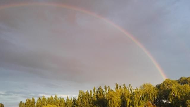 小学语文同音字组词汇总