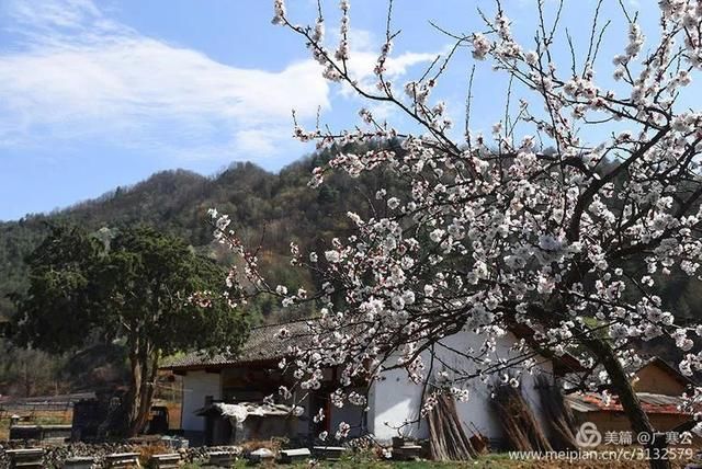 春天来了，一起去留坝太子岭看花吧！