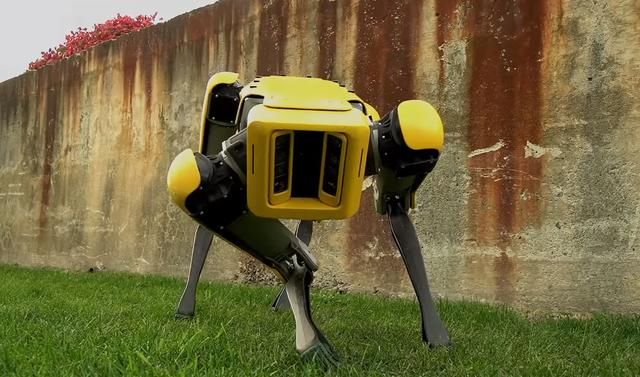 中国机器狗跟美国机器狗相比,动作看出差距,网