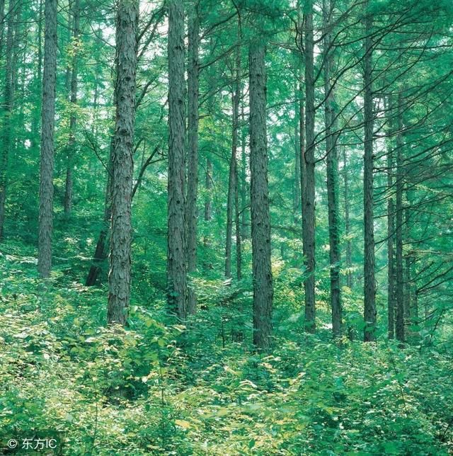 祁连山生态环境问题整改完成率已达94.5%