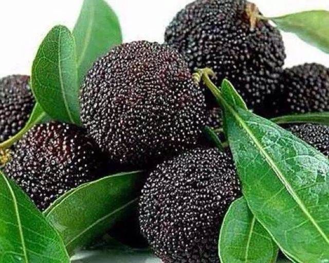 肝不好的人,6种水果夏天要多吃,养肝护肝排肝