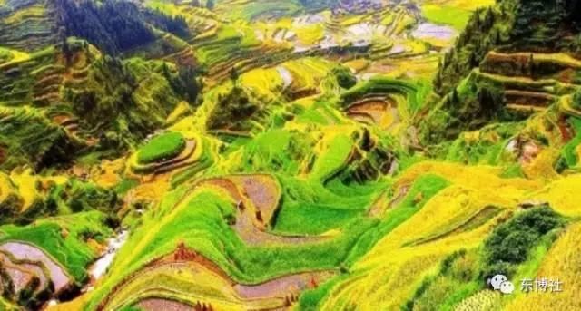 国内外同年欢聚一堂,体验融水最炫民族风!