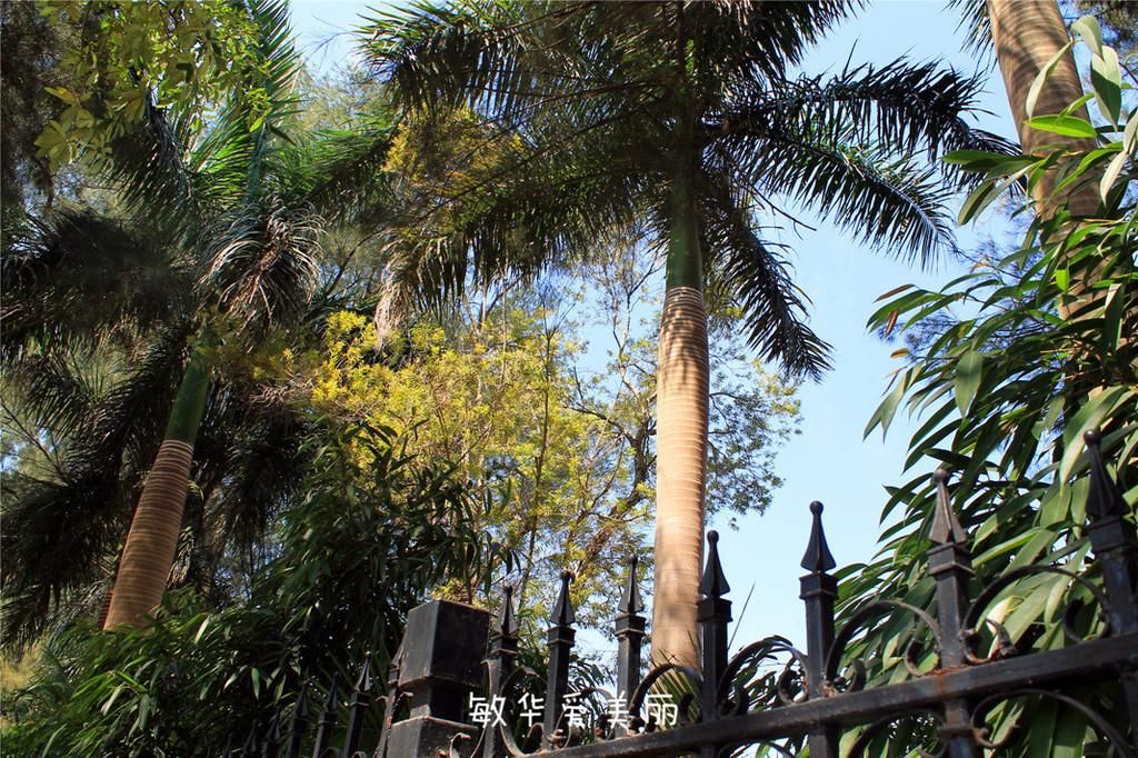 厦门市十五届人大五次会议