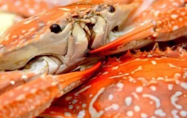 江苏13市螃蟹大盘点,最美味的是哪个城市?