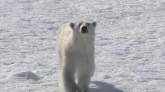 世界“最孤独的城市”, 离北极圈约1.3千米，禁止生育和死亡