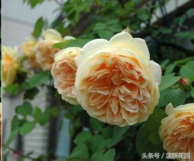 t0124b1633fd08792b2.jpg