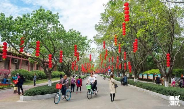 大夫山21年后大变样！400亩园林花海，广州开上高速都要来踏春！