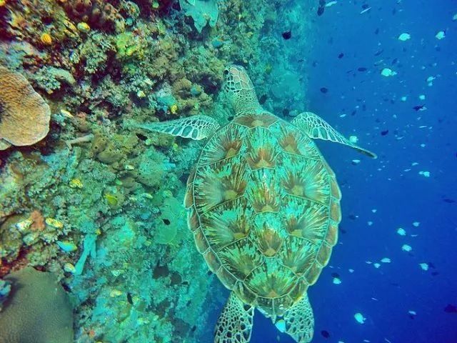 下一个假期去哪?推荐5个海岛给你，人均只要3k